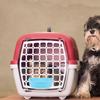 Hanging Plastic Pet Bowl Sturdy Cat Dog Cage Feeder Smooth Surface Food Water Container Hanging Pet Bowl Puppy Feeder