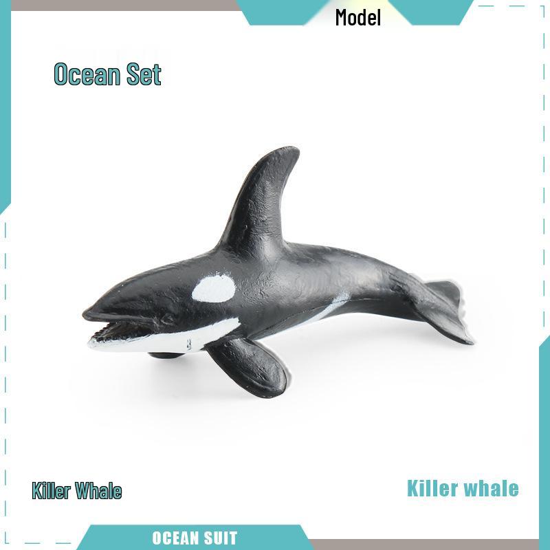 Children's Marine Animal Model Set: Mini Whale, Shark, Dolphin, Turtle, Sea Lion