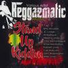 CD VARIOUS - Reggaematic 6: Stand Up Riddim HBR00772 Heavy Beat 2020 US Reggae, Ska & Dub