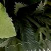 Милая мультяшная мягкая игрушка, забавная мягкая игрушка с низким коэффициентом упругости, игрушка для снятия стресса для взрослых и детей, игрушка для выплескивания эмоций, креативный подарок.
