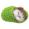 Sounds Sleeping Kitten Toy Slipper Sleeping Cat Simulation Sleeping Cats Mini Kittens in Shoes