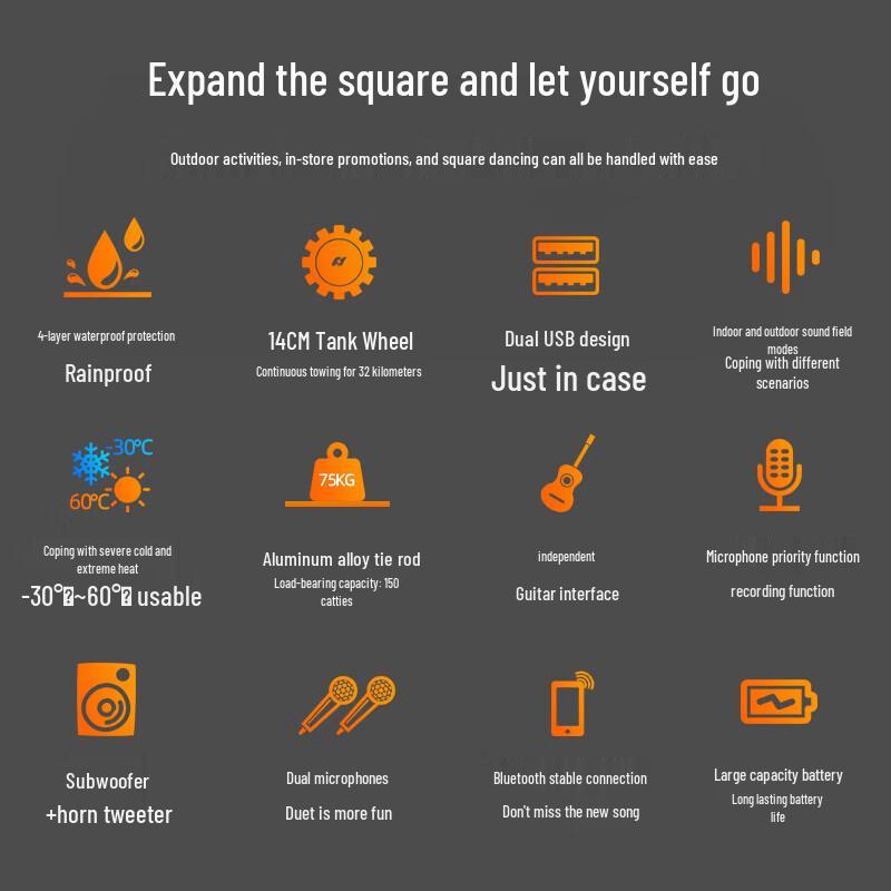 Sansui A12 12-inch Portable K-Song Trolley Speaker