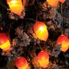 Flashing Lights Christmas Decorative Lights Simulation Decorative Lantern String  Shoot