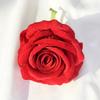 Rose Velvet Artificial Rose Head With Embossed Craft For Wedding Venue Romantic
