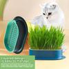 New Cat Grass Potting Lazy Man Soilless Hydroponic Planting Box Cat Grass Pot Wheat Particle Cultivation Plate Cup Set