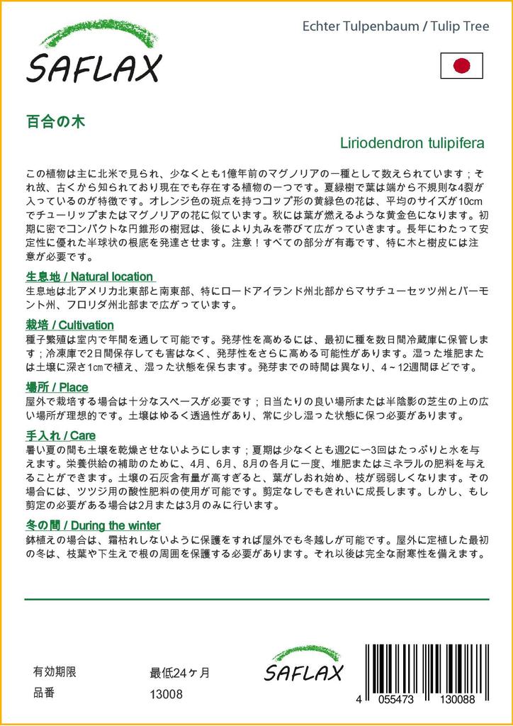SAFLAX Тюльпановое дерево - 20 семян - Liriodendron tulipifera