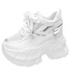 Fashion Women Chunky Sneakers 2024 Summer Breathable Mesh Casual Shoes 10CM Wedge Heels Platform Shoes Chaussures Femme Sports Dad Shoes