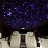 1X Dual Head Fiber Optic Lamp BT APP Car Headliner Roof Starry Sky Ceiling Light