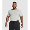 Gymshark Футболка Legacy Stone Grey A5a3b Gb7s