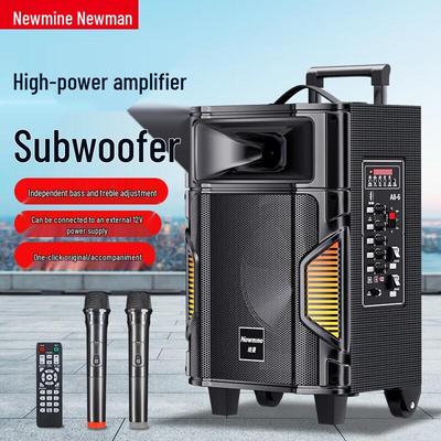 Портативная колонка-тележка Newmine A8 с двумя микрофонами, штекер CN (адаптер в комплекте)