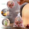 50/100Pcs Fruit Protection Netting Bags with Drawstring Reusable Grape Grow Bags Strawberry Cover Mesh Bags for Pest Control
