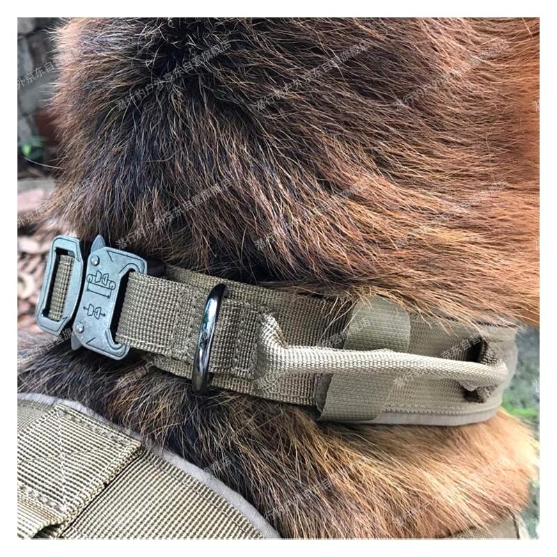 Stealth Leopard Nylon Training Dog Collar