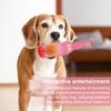 Toy Crunchnplay Shop Zentric Bottle Bottle Toys For Dogs Water Bottle Chew Toy Plastic Bottle Cruncher With Squeaky Tennis Ball