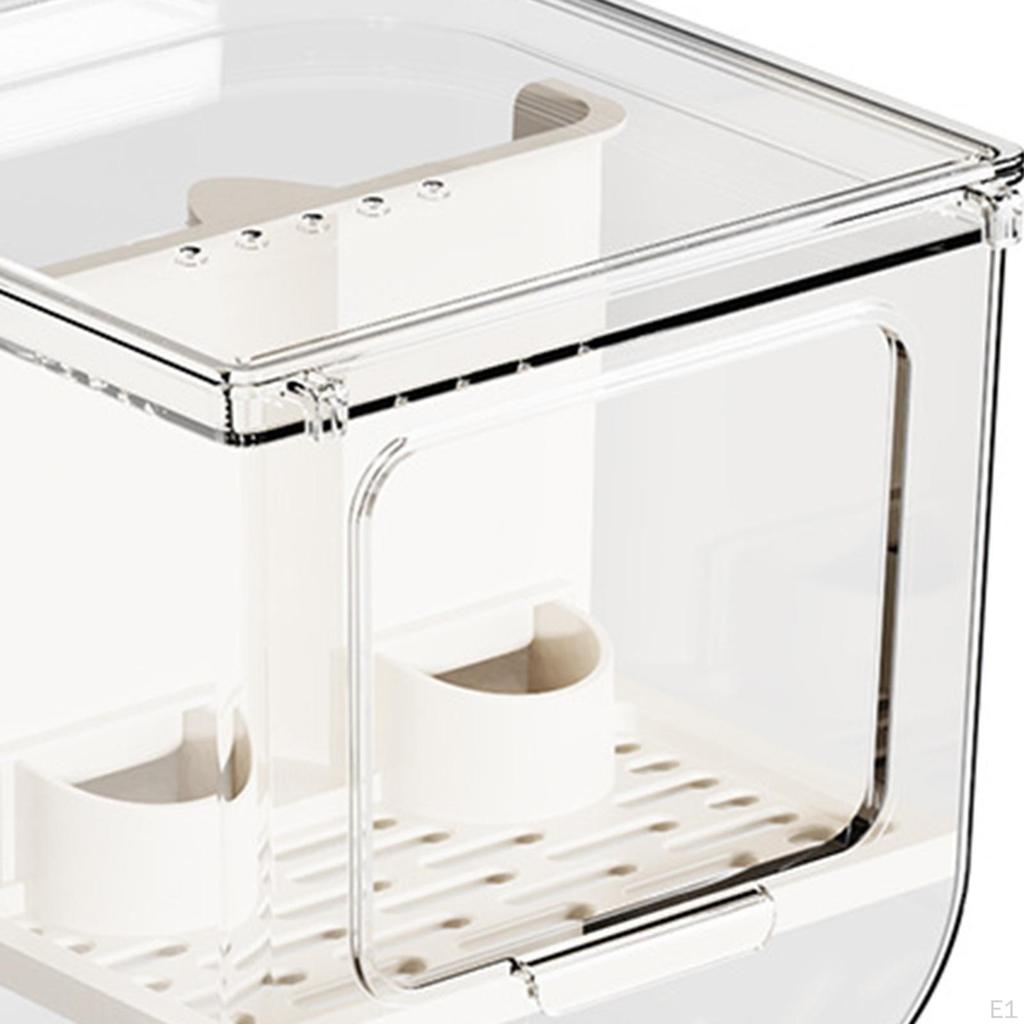 Automatic Bird Feeder, Food Dispenser, Feeding, Small Pet Container for Birds,