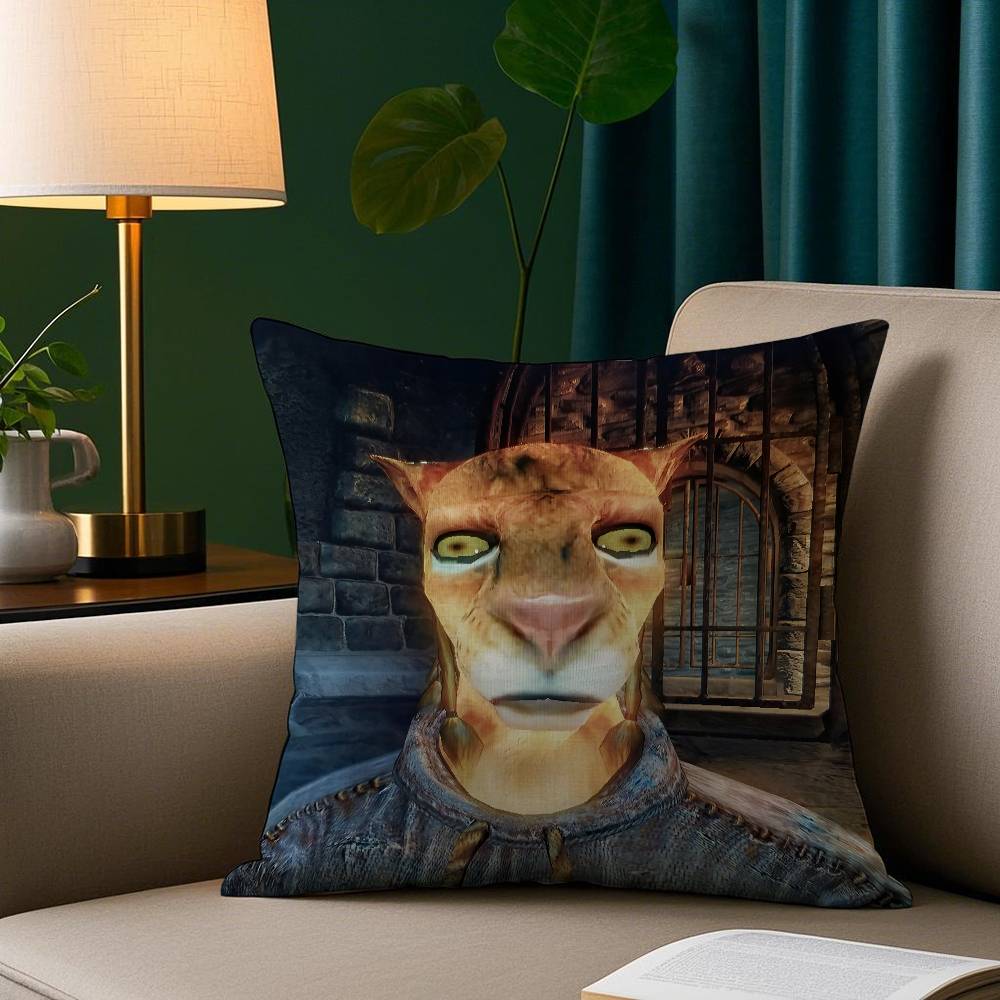 Эй Ты Ты Наконец Проснулся Мем Скайрим Наволочка Уютная Плюшевая Наволочка С Двусторонней Печатью – Домашний Подарок для Декора Спальни