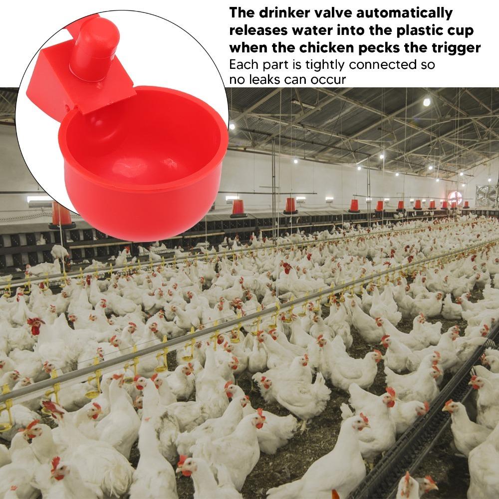 10 Sets PP Chicken Waterer Cups Durable Pigeon Waterer Cups Automatic Chicken Water Cups Home Use