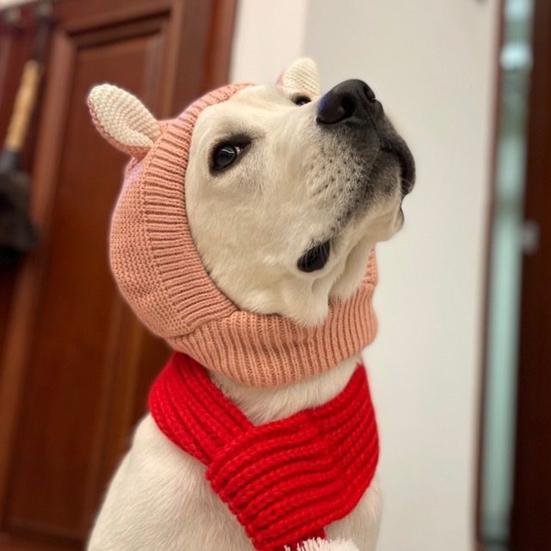 Детская шапка зимняя вязаная шапка для домашних животных, эластичная, сохраняет тепло, однотонная, с декором для ушей, для мальчиков и девочек, шапочка-бини для фотосъемки, головной убор