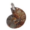 Подвеска из ракушки аммонита, ручная работа, винтажная подвеска из натурального аммонита для женщин и мужчин, подарок