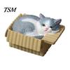 Miniature Cat in Box Mini Ornaments, Simulation Express Carton with Resin Kitten Figurines, Cute Lover Gift Idea Desktop Car Dashboard Decor, Healing