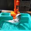 Happy Birds Need Clean Feathers- Automatic Parrot Bath Tub With Faucet And Feeder