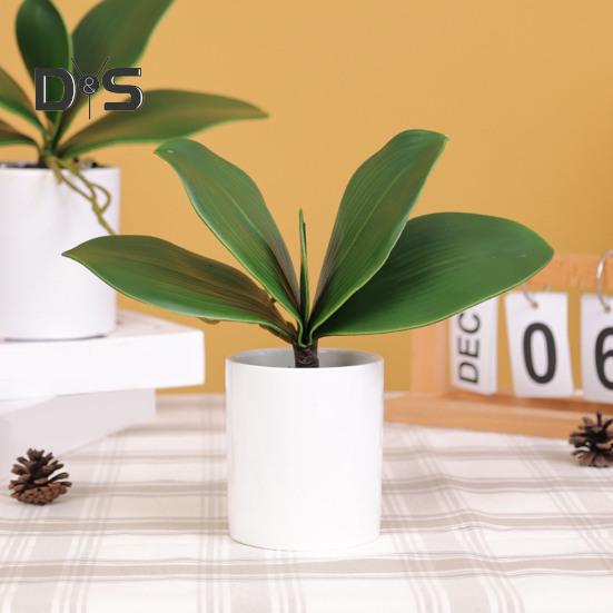 Прозрачная текстура, искусственное растение без полива, яркие поддельные листья орхидеи фаленопсис