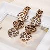 Leopard Print Long Tassel Earrings for Women