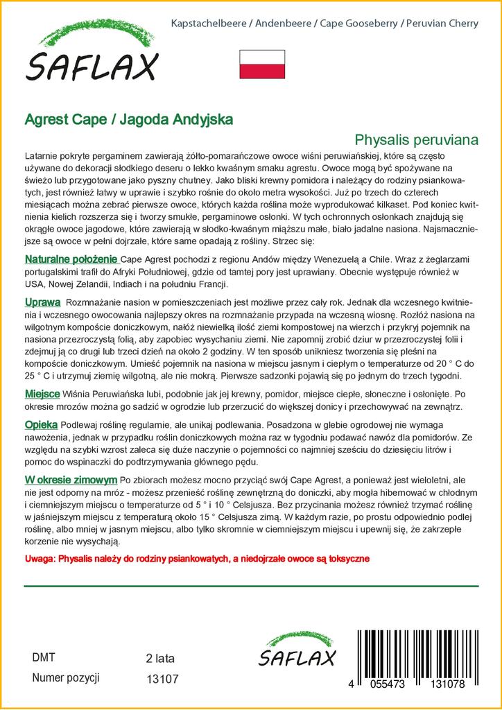 SAFLAX Капский крыжовник / Перуанская вишня - 100 семян - Physalis peruviana