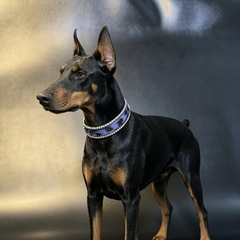 Leopard Print Rhinestone Dog Collar Greyhound Whippet Doberman Adjustable Neck Strap Leash Set