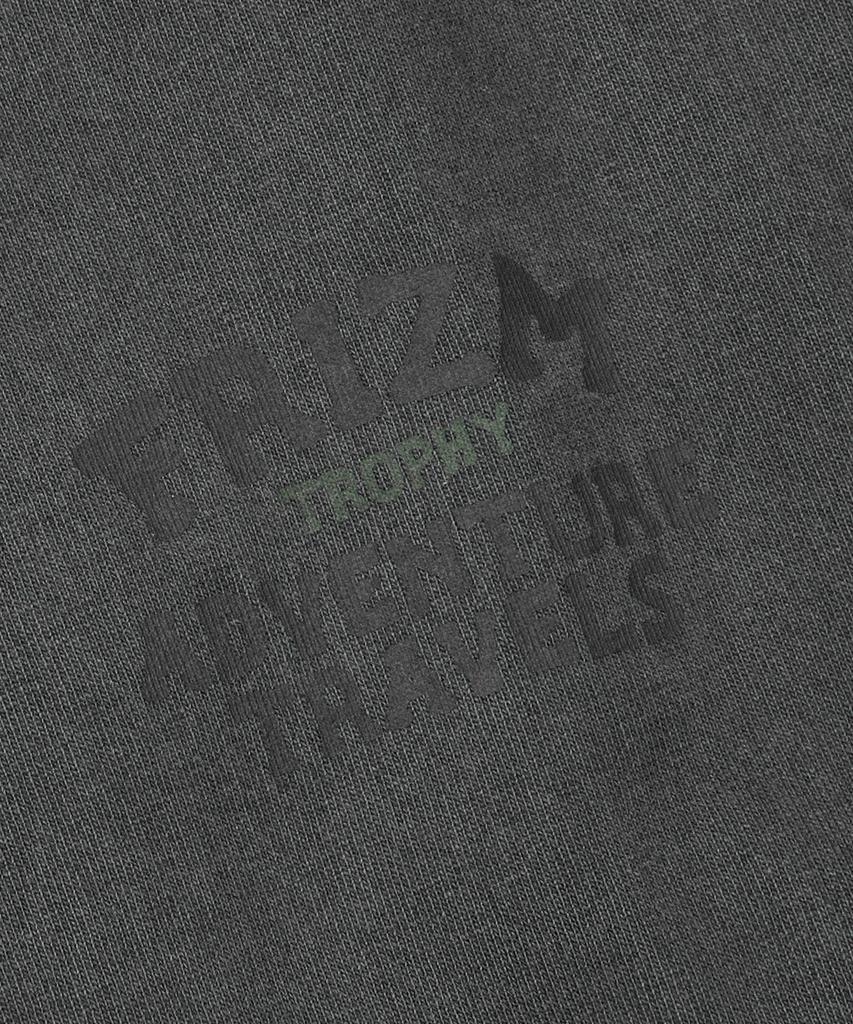 Футболка FRIZMWORKS с пигментной окраской 'Trophy Pigment Dyeing' _ Угольный