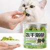 Natural Cat Grass Wheatgrass Chewing Snacks Keep Your Cat Active and Happy Promote Dental Care Wheatgrass for Kitten