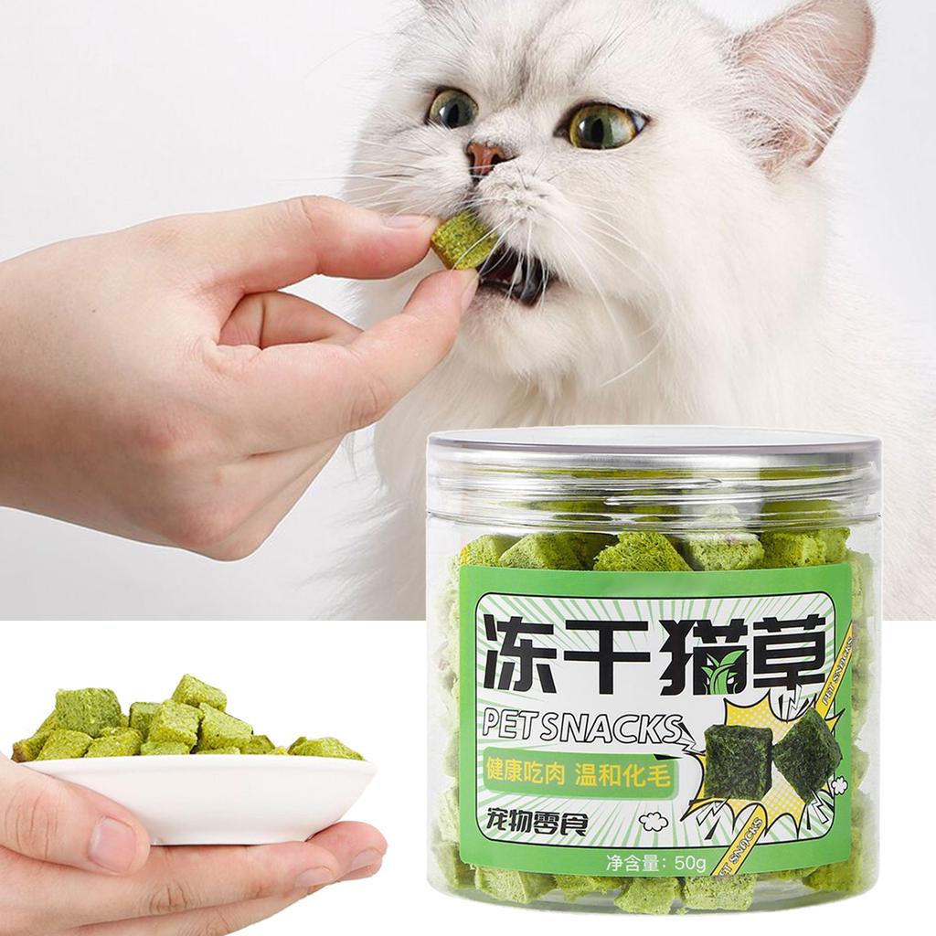 Natural Cat Grass Wheatgrass Chewing Snacks Keep Your Cat Active and Happy Promote Dental Care Wheatgrass for Kitten