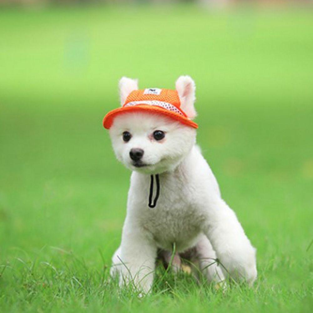 Stripe for Small Medium Mesh Cloth Canvas Cat Hat Dog Caps Pet Products Sunhat