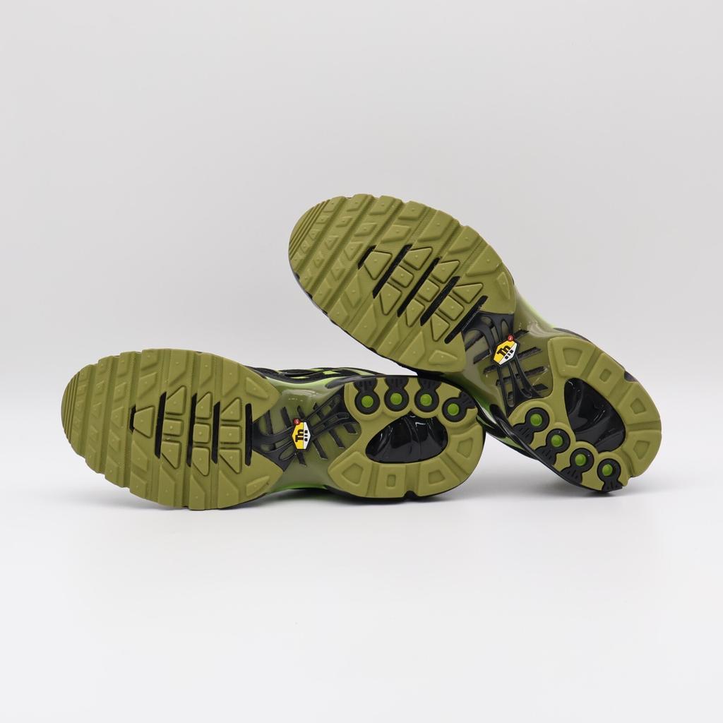 DM0032-010 Nike Air Max Plus Pacific Moss (Мужской)