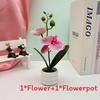Potted Faux Phalaenopsis Flower For Event Decor And Indoor Embellishment Home