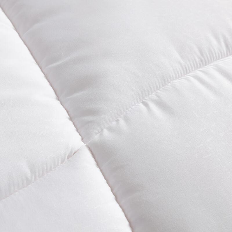 LOVO Warm Ginger Antibacterial Silky Polyester Quilt