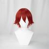 Dark Red Fluffy Cosplay Costume Wig with Event Wig Men's Wig, All-Purpose Wig, Unisex, Heat-Resistant Fiber, Net,