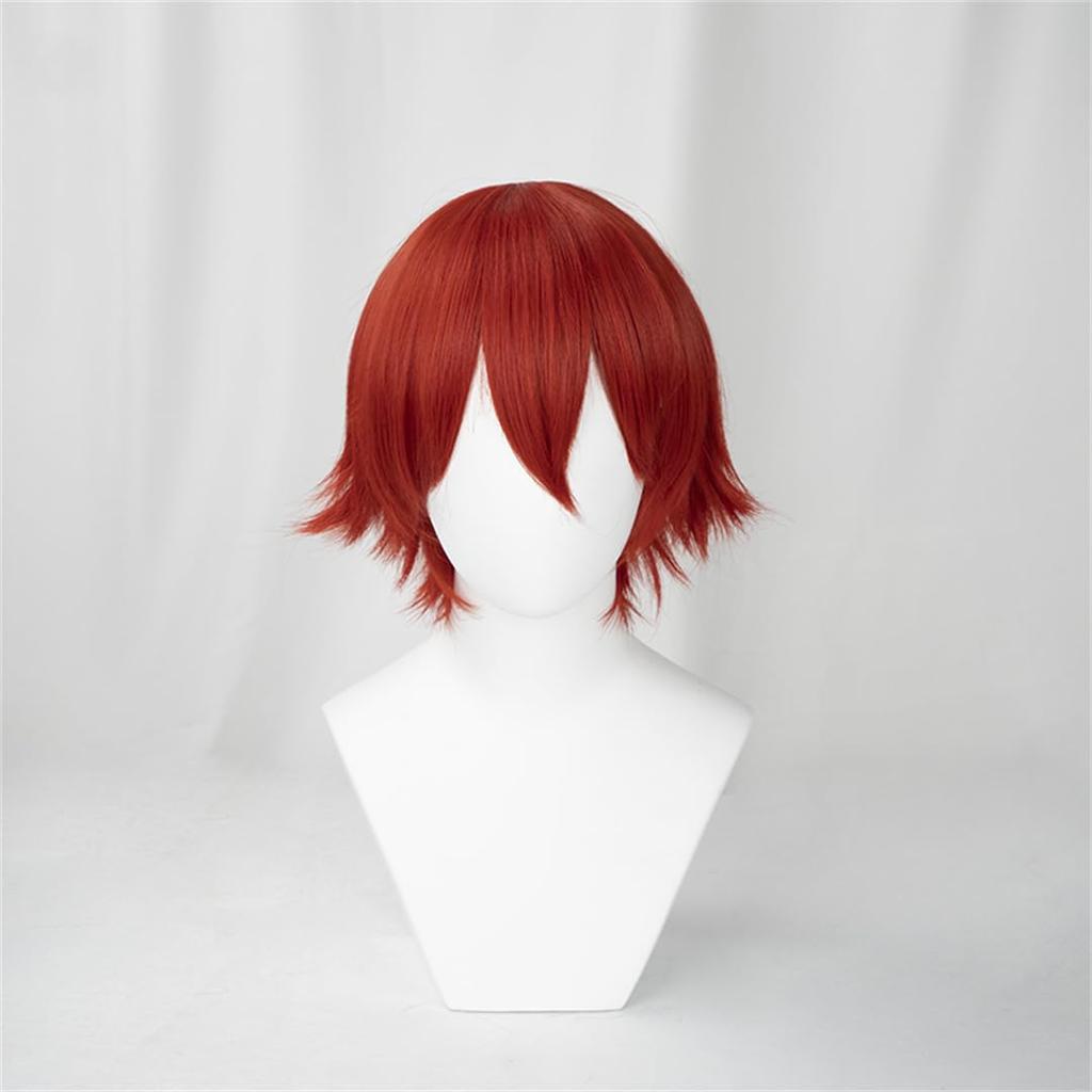 Dark Red Fluffy Cosplay Costume Wig with Event Wig Men's Wig, All-Purpose Wig, Unisex, Heat-Resistant Fiber, Net,