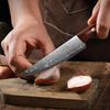Paring Knife 5.5 Inch Damascus Steel Core Ultra-Sharp Damascus Utility Knife Steak Knife Full Tang Pro Peeling Knife