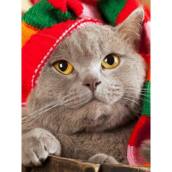 5D алмазная живопись животное кошка Алмазная вышивка Рождественский кот вышивка крестиком горный хрусталь картина мозаика набор Рождественский домашний декор