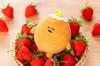 Nagano Lottery Nagano Strawberry Plush Lottery D Prize Mascot Plush Toy [Heta] Mole Croquette