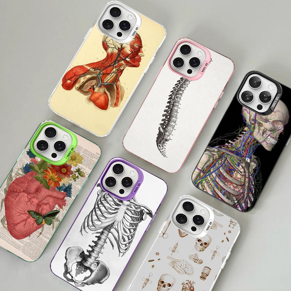 Медицинский Чехол для Телефона с Анатомией Человека Для IPhone 16 15 14 13 12 11 Pro Max X XR XSMAX 8 7 Plus Матовый Ударопрочный Задний Чехол