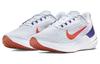 Nike Air Zoom Winflo 9 'Grey Concord' DD6203-006