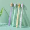 Adult Soft Bristle Toothbrush 10-Pack