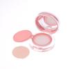 6G Empty Air Cushion Puff Box Portable Cosmetic Makeup Case Container With Powder Sponge Mirror For Bb Cream Foundation
