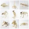 Decoration Animal Fake Skeleton Skeleton Halloween Ornaments Halloween Movable Skeleton  Halloween