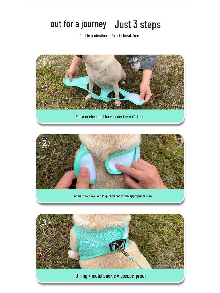 Защитная шлейка и поводок для кошек и маленьких собак - Веревка для прогулок на улице для тедди и бишон-фризе