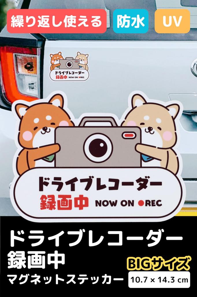 Morikuma Shoten Recording Sticker Car Dash Cam Dog Car Sticker Magnet Large
