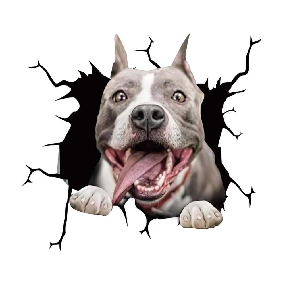 Stickers Scratch Waterproof Marks Headlight Decal Car Sticker Pet Cat French Bulldog Sticker