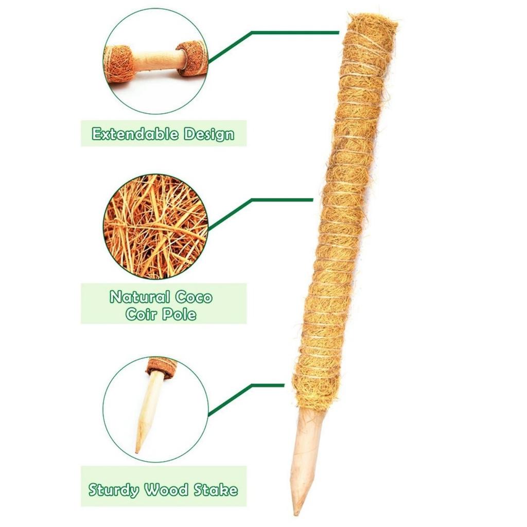 Monstera 30cm Moss Stick Plant Pole for Climbing Plants Coir Totem Plant Support for Indoor Potted Plants Train Creeper Plants Grow Upwards