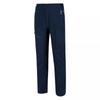 Regatta Mens Highton Pro Hiking Trousers